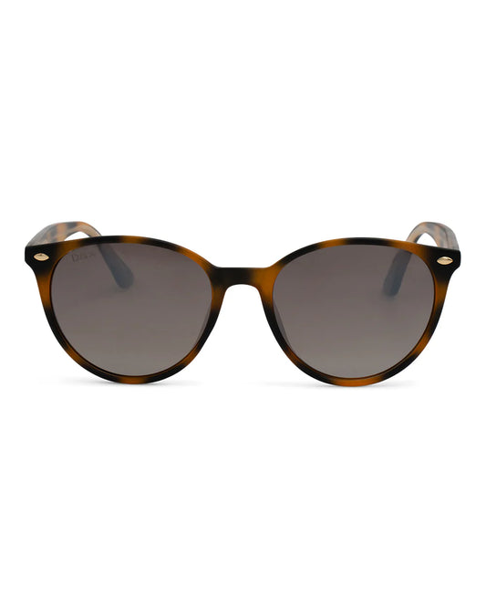 Asher in Shell Sunglasses