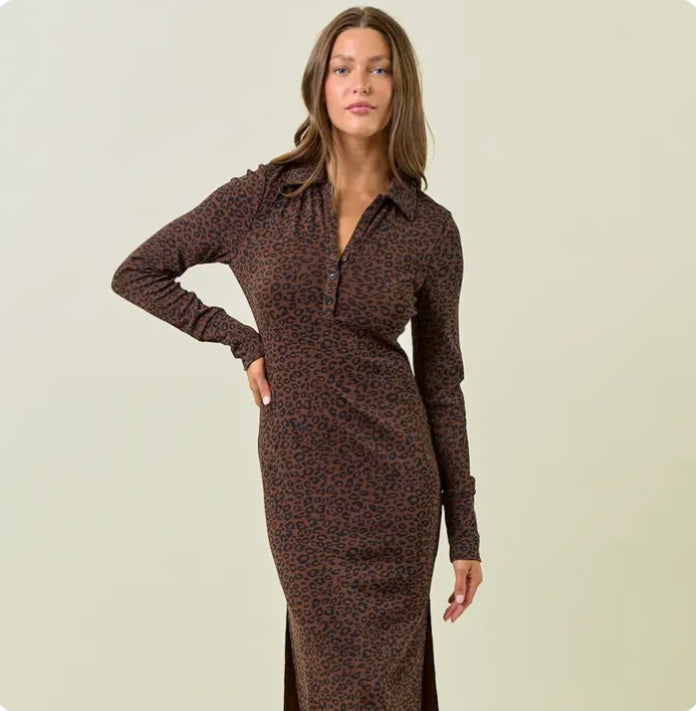 Leopard Print Dress