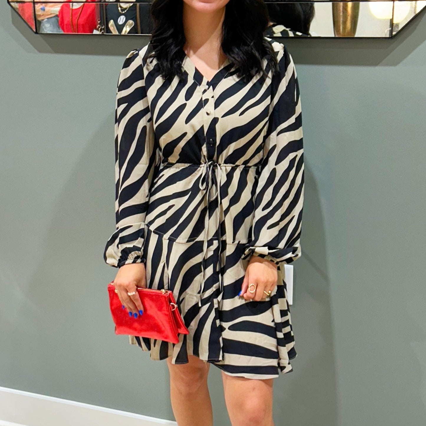 Zebra Print Dress
